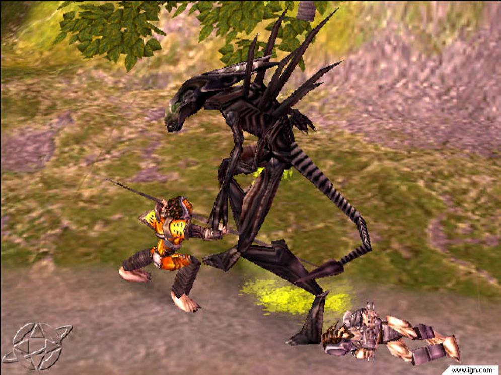 Screenshot ze hry Aliens Versus Predator: Extinction - Recenze-her.cz
