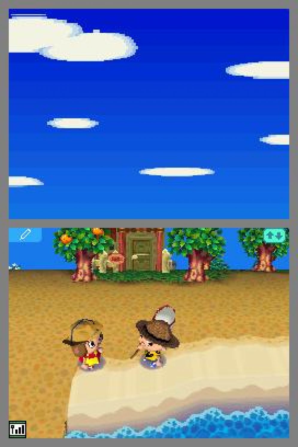 Screenshot ze hry Animal Crossing: Wild World - Recenze-her.cz
