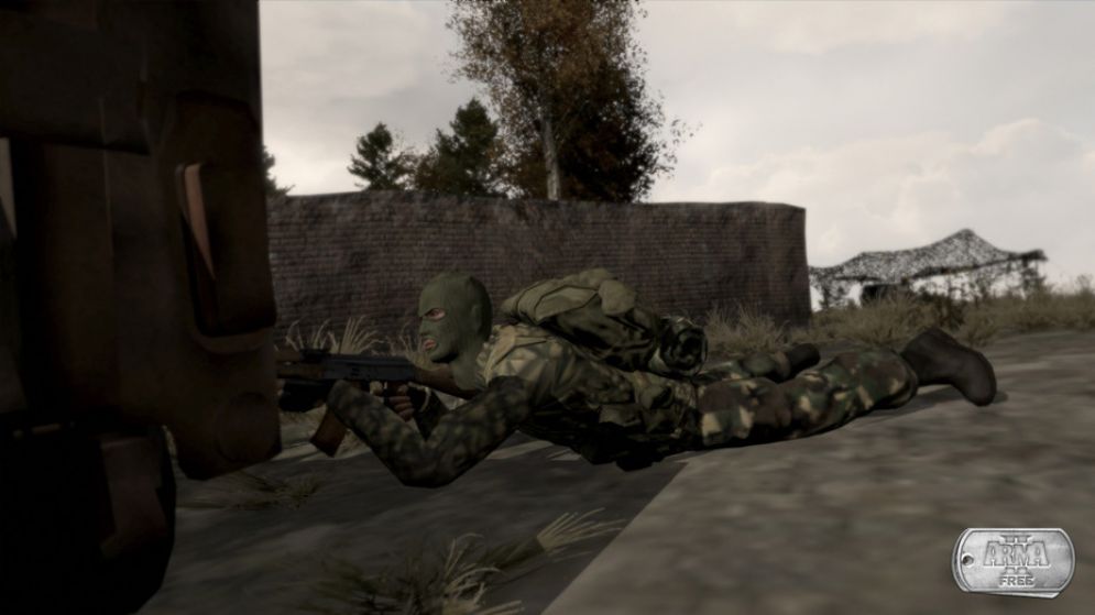 Screenshot ze hry Armed Assault 2: Free (Arma 2: Free) - Recenze-her.cz