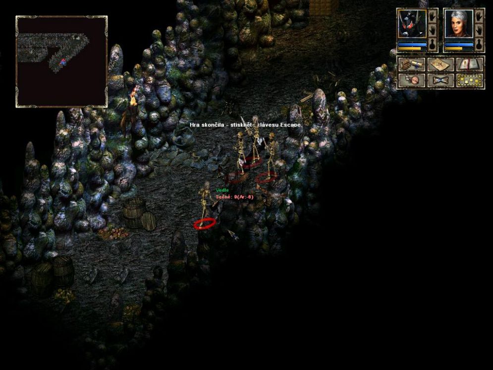 Screenshot ze hry Beyond Divinity - Recenze-her.cz