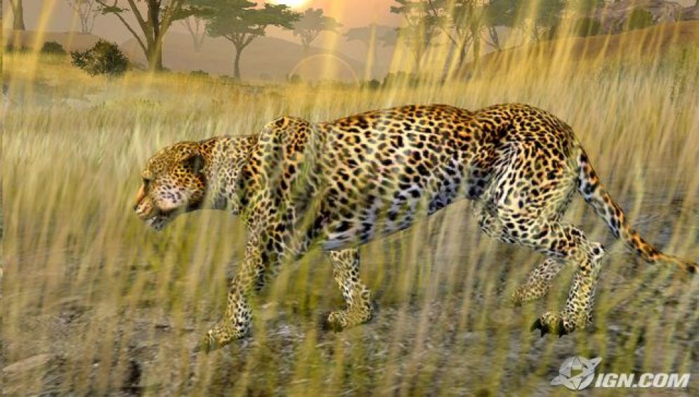 Screenshot ze hry Cabelas African Safari  - Recenze-her.cz