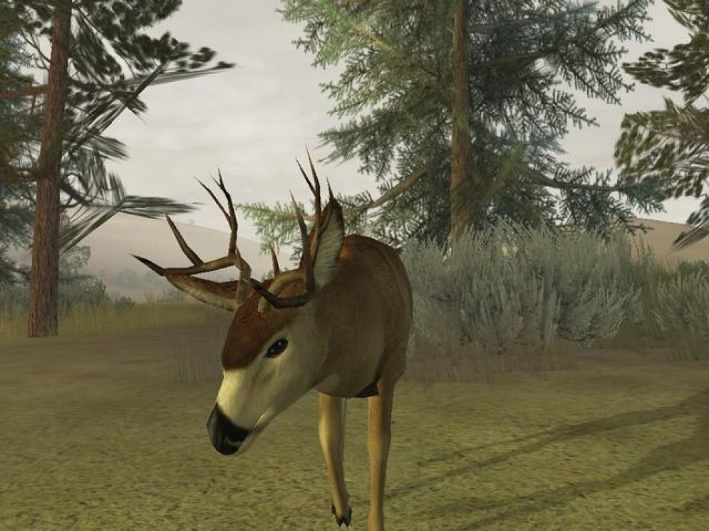 Screenshot ze hry Deer Hunter 2005 - Recenze-her.cz
