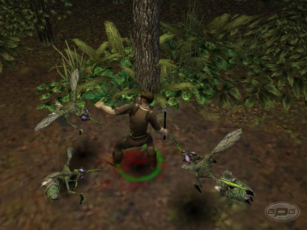 Screenshot ze hry Dungeon Siege - Recenze-her.cz