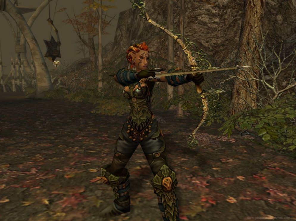 Screenshot ze hry Dungeon Siege II: Broken World - Recenze-her.cz