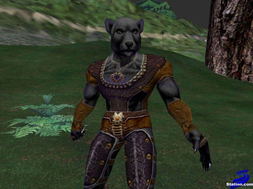 Screenshot ze hry EverQuest: Shadow of Luclin - Recenze-her.cz