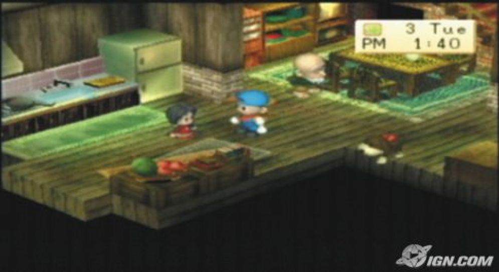 Screenshot ze hry Harvest Moon: Boy & Girl  - Recenze-her.cz