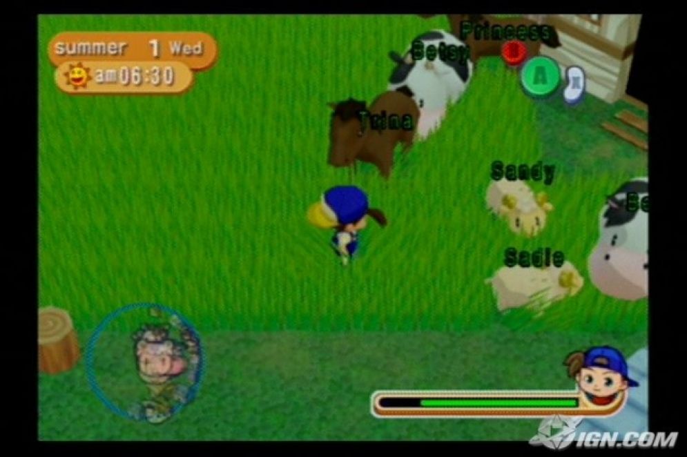 Screenshot ze hry Harvest Moon: Magical Melody  - Recenze-her.cz