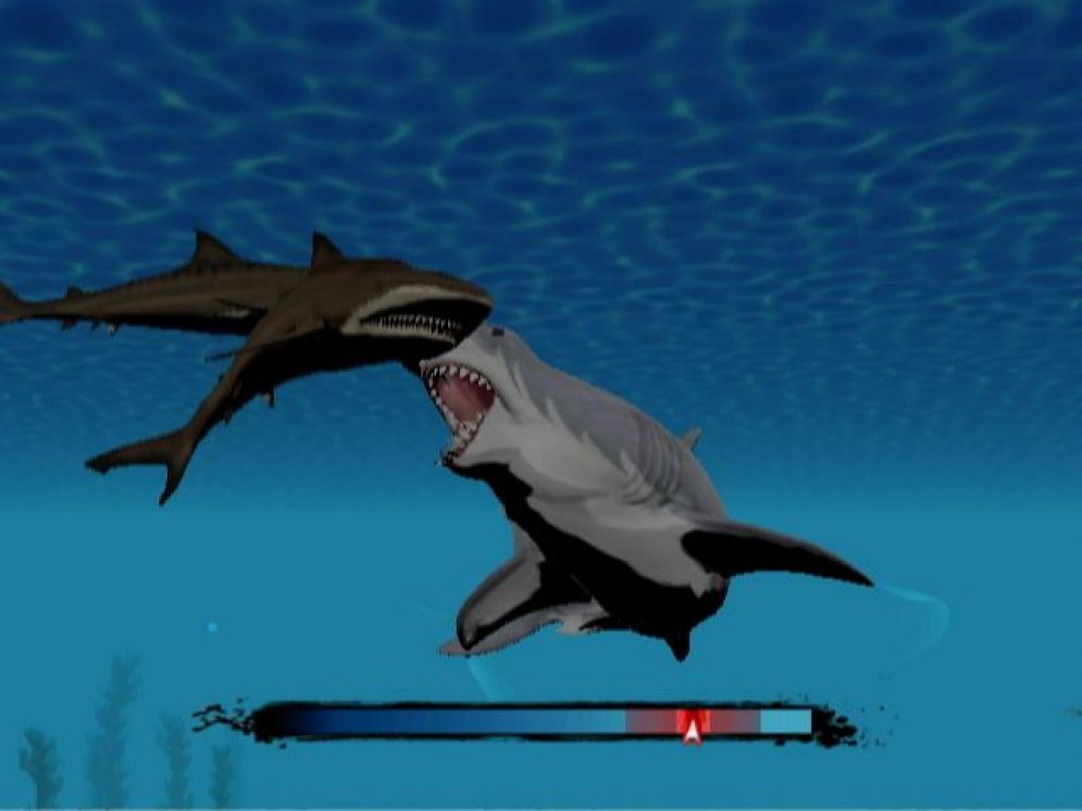 Screenshot ze hry Jaws: Ultimate Predator - Recenze-her.cz
