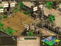 Age of Empires II: The Conquerors