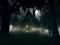 Alone in the Dark: Near Death Investigaton