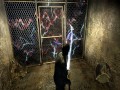 Alone in the Dark: Near Death Investigaton