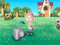 Animal Crossing 3DS