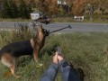 DayZ (standalone)