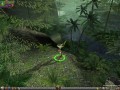 Dungeon Siege II