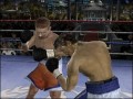 Fight Night 2004