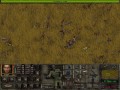 Jagged Alliance 2: Wildfire