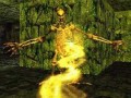Lands of Lore III