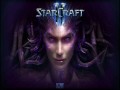 StarCraft II: Heart of the Swarm
