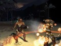 The Saga of Ryzom