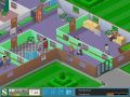 Theme Hospital