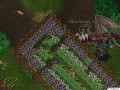 Ultima Online: Renaissance