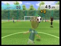 Wii Fit
