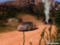 WRC: Rally Evolved