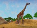 Zoo Tycoon 2: African Adventure