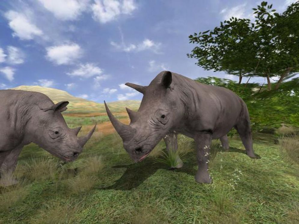 Screenshot ze hry Safari Photo Africa: Wild Earth - Recenze-her.cz