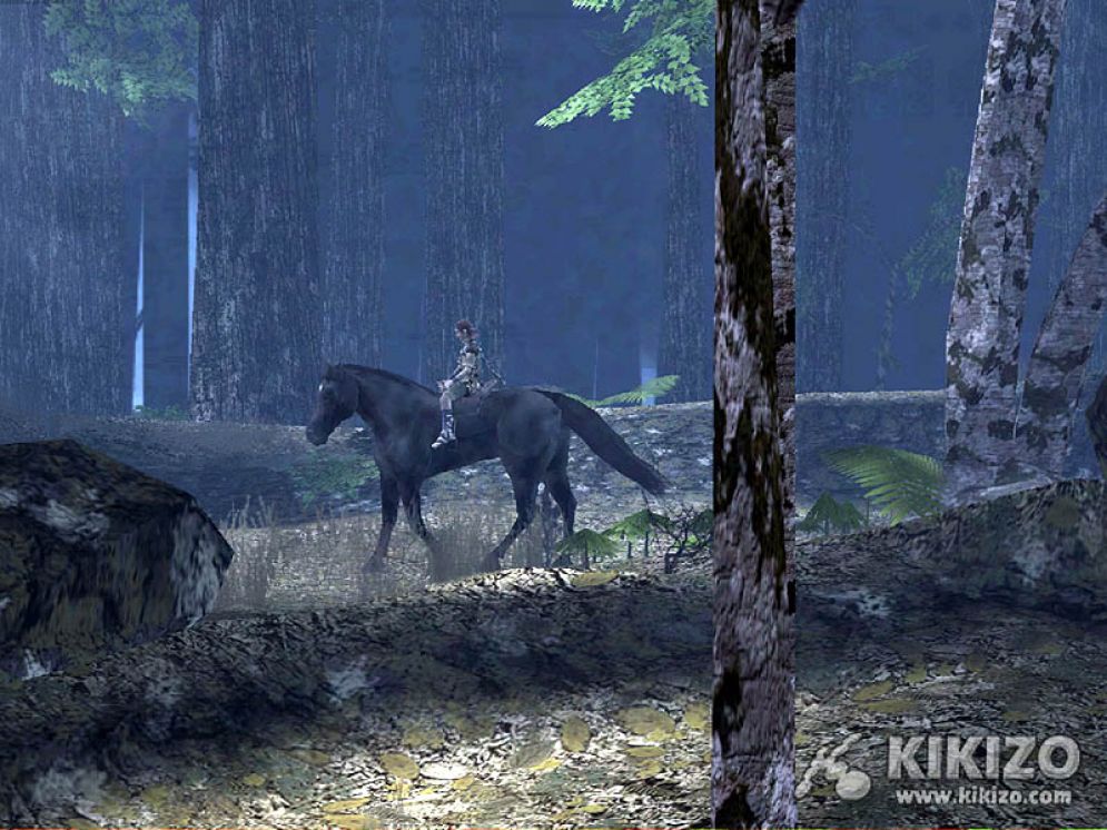 Screenshot ze hry Shadow of the Colossus - Recenze-her.cz