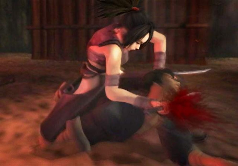 Screenshot ze hry Tenchu: Fatal Shadows - Recenze-her.cz