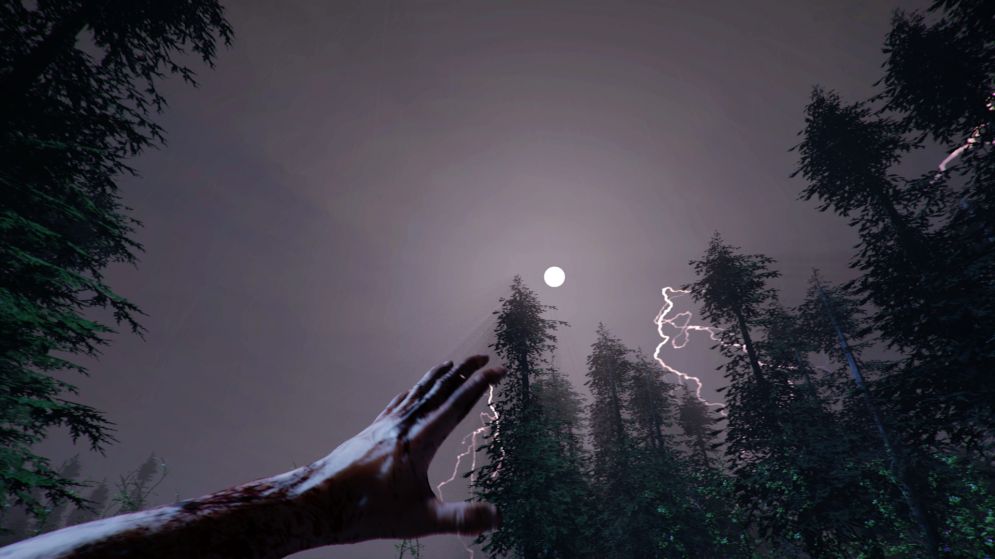 Screenshot ze hry The Forest - Recenze-her.cz