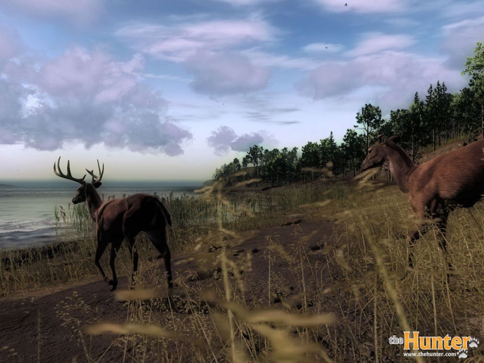 Screenshot ze hry The Hunter - Recenze-her.cz