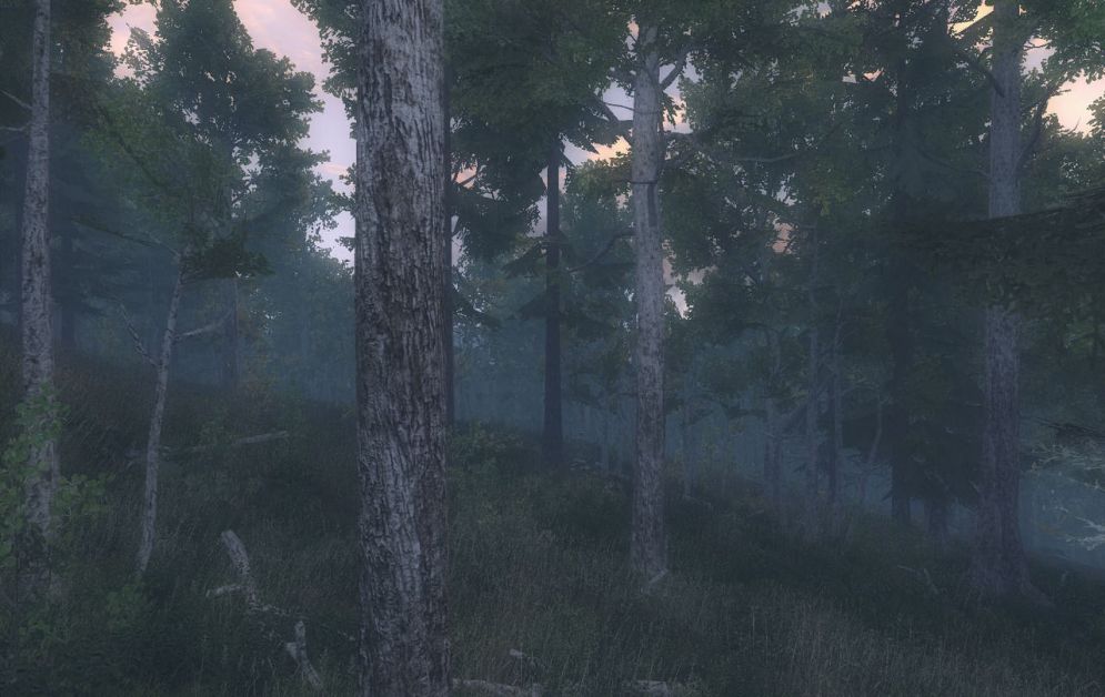 Screenshot ze hry The Hunter - Recenze-her.cz