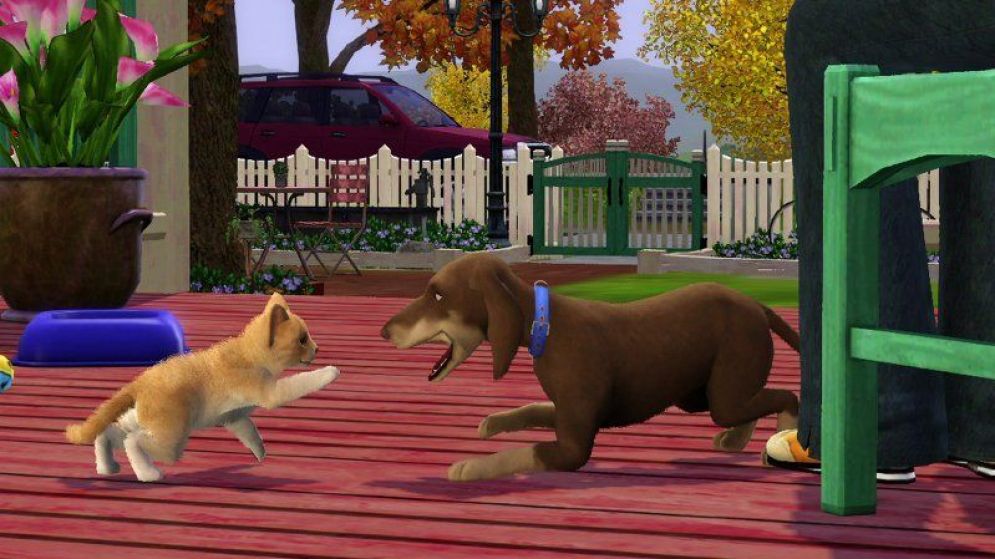 Screenshot ze hry The Sims 3 Pets - Recenze-her.cz