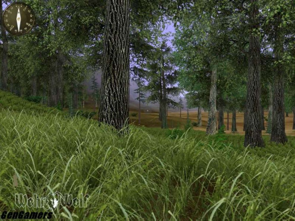 Screenshot ze hry Wehrwolf - Recenze-her.cz