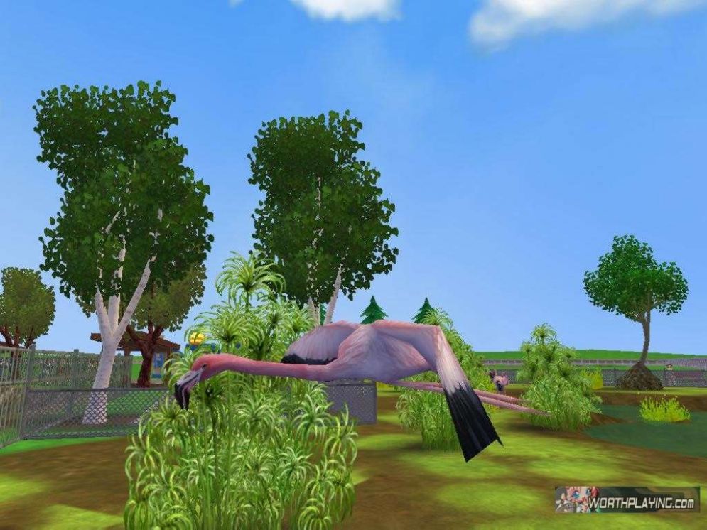 Screenshot ze hry Zoo Tycoon 2 - Recenze-her.cz